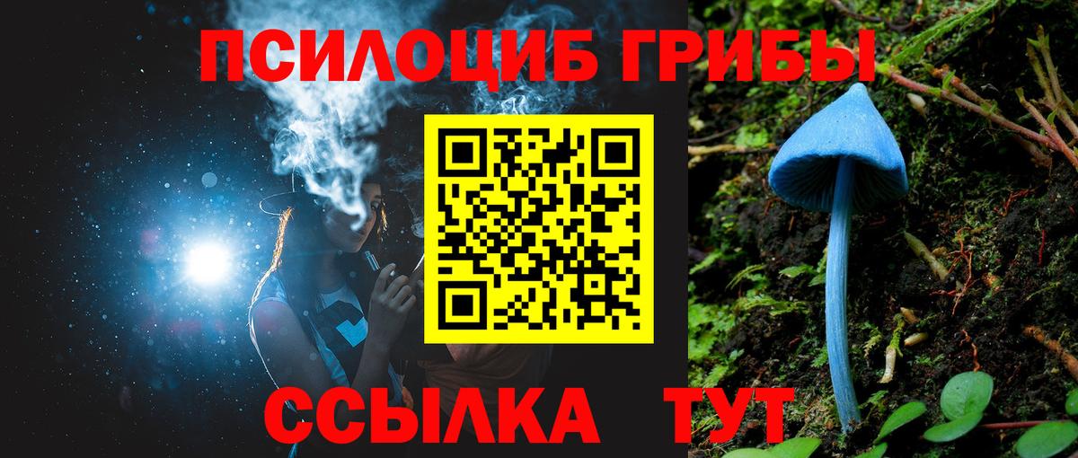 Каменск-Шахтинский  Галлюциногенные грибы прущие грибы  Вход с VPN 