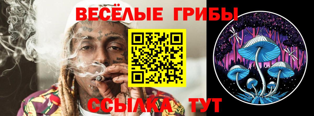 Галлюциногенные грибы мицелий Каменск-Шахтинский